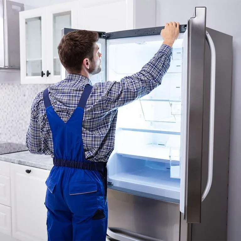 Fridge Repair
